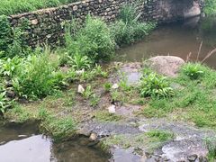 -北京水岸山吧度假村(雁栖镇店)