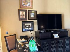 -阿布扎比沙漠皇宫酒店水疗中心