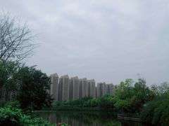 -成都南湖公园