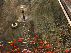 -青海宾馆