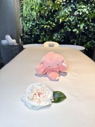 -VELEE·SPA高定疗愈会所