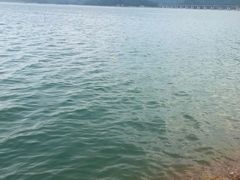 -老虎潭水库