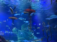 -沈阳海洋探索中心