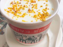 桂花水牛奶-周大娘牛乳(旧寨古村总店)