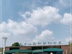 -上方山森林动物世界