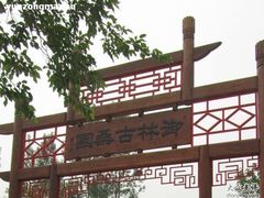 -御林古桑园
