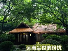 -中国茶叶博物馆(双峰馆区)