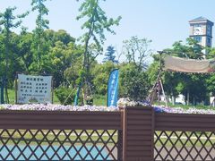 -苏州太湖西山岛开心农场