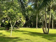 -中国科学院西双版纳热带植物园