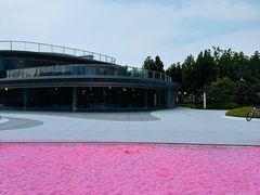-上海山野camping·户外天幕烧烤·团建拓展营地