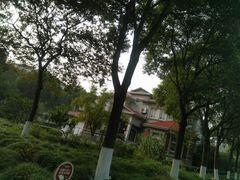 -华西村