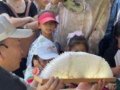 -中国福利会少年宫