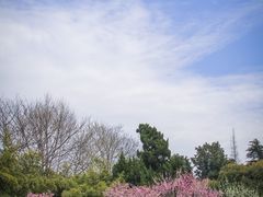 -苏州吴中太湖旅游区