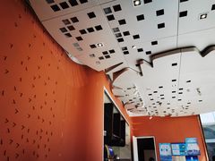 大堂-花园5號餐厅