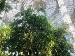 -郑州植物园