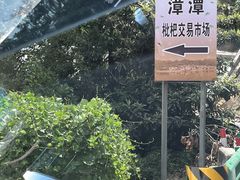 -新安江山水画廊风景区