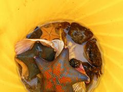 -那香海钻石沙滩浴场