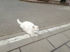-李叔同故居纪念馆