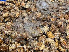 -三亚火车头万人海鲜广场