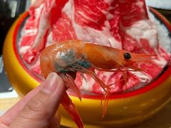 澳洲和牛肩胛小排-温野菜涮涮锅(西单大悦城店)