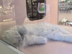 -万达广场(厦门湖里店)