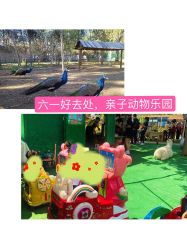 -萌宠亲子动物乐园(槐房万达店)