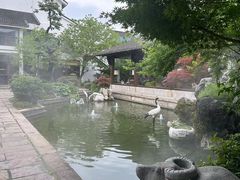 -广富林宰相府酒店·水云间