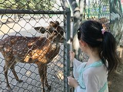 -西安秦岭野生动物园