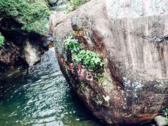-银瓶嘴森林公园