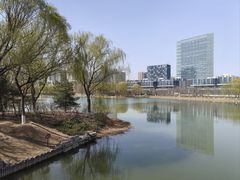 -大兴滨河森林公园