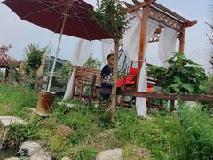 -樂桃源奉贤黄桃种植采摘基地