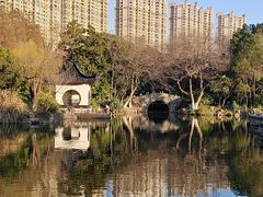 -红梅公园