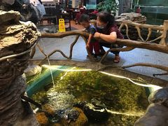 -御膳粥·牛乳粥底火锅·地道顺德菜(容桂店)