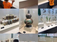 -广东中医药博物馆