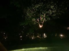 -英德宝晶宫天鹅湖茶语温泉