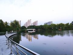 -九里河湿地公园