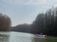 -上海海湾国家森林公园