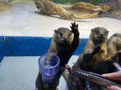 -华夏文旅海洋公园