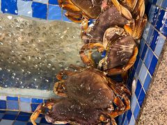 -顺峰(南二环店)