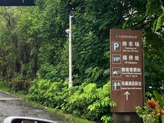 -三亚亚龙湾人间天堂鸟巢度假村