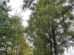 -嘉北郊野公园