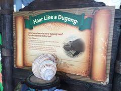 -悉尼海洋生物水族馆