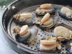 -桃源尚品海鲜酒楼(京港澳高速店)