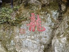 -十八棵（老龙井）御茶园(老龙井店)