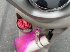 -索拉古贝(义乌北苑店)