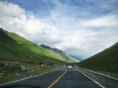 -马白开来特色羊排揪片子  (总店)