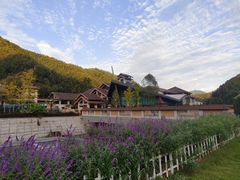 -斯瑞特国际酒店