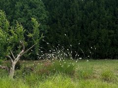 -汉长安城未央宫国家考古遗址公园