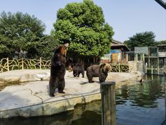 -常州淹城野生动物世界