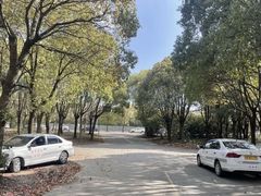 -胜华驾校·小猫学车(银都店)